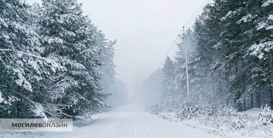 Около нуля и оранжевый уровень опасности из-за сильного ветра. Погода в Могилеве на 15 января