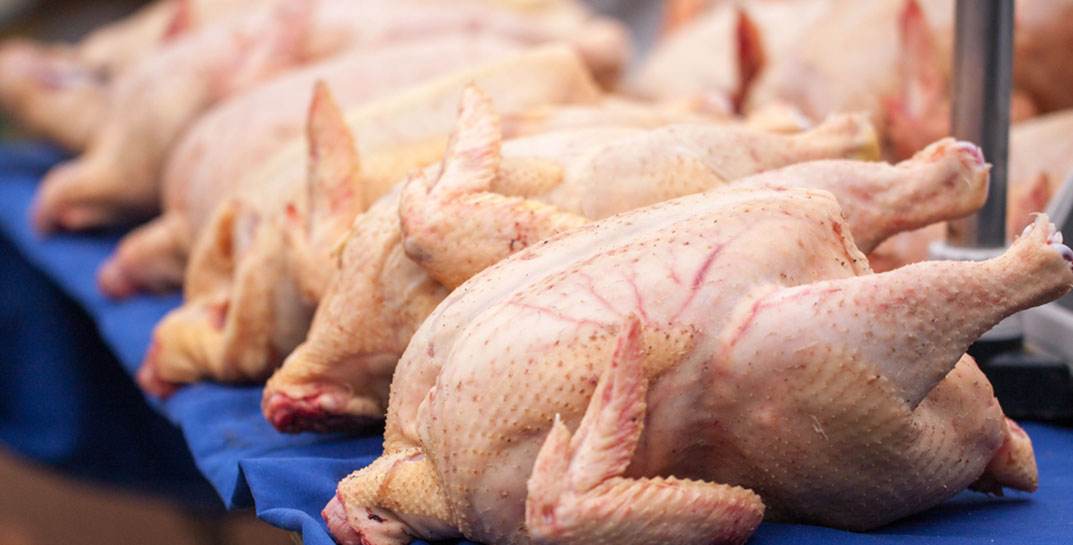 В Беларуси продлили регулирование цен на куриные тушки
