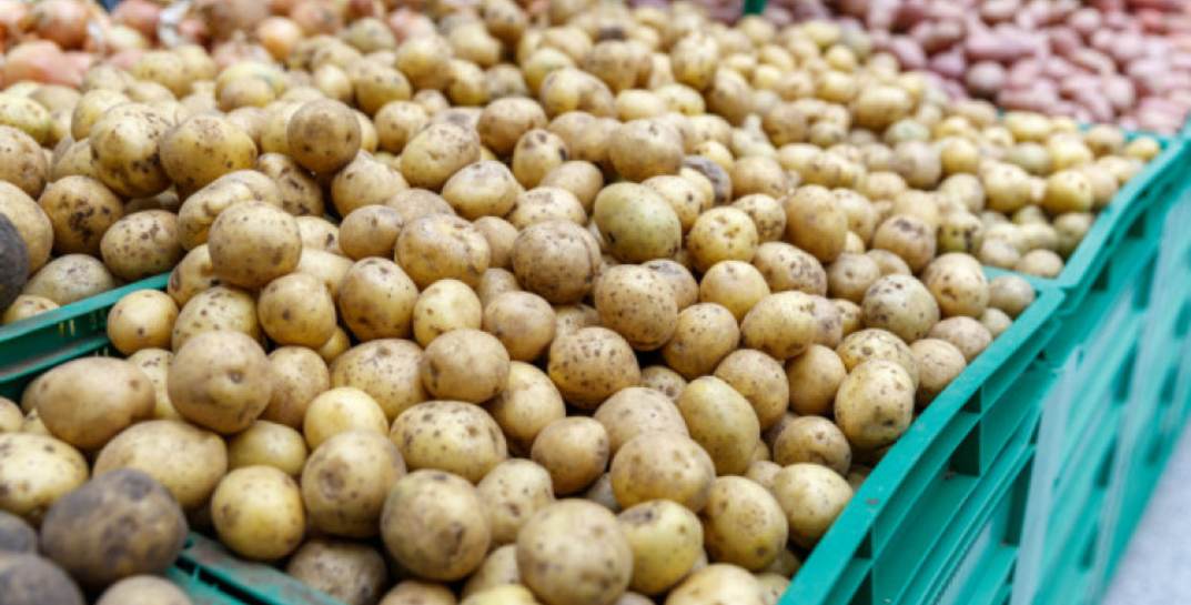 Лукашенко пообещал руководителям регионов и Минска, что они будут наказаны за египетскую картошку на полках белорусских магазинов
