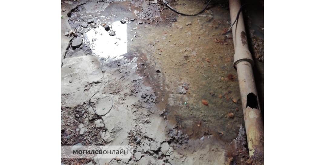 В Могилеве подвал многоквартирного дома заливает фекалиями. В 115 говорят, что… течь канализации не обнаружена. Посмотрите сами, есть ли течь