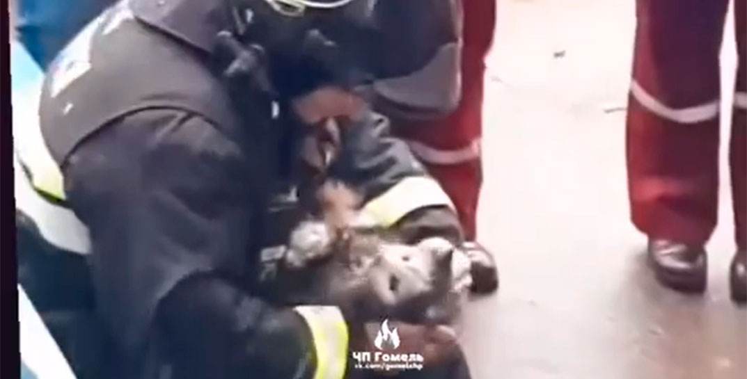 В Гомеле на пожаре спасатели откачали котика, который надышался дымом и впал в бессознательное состояние