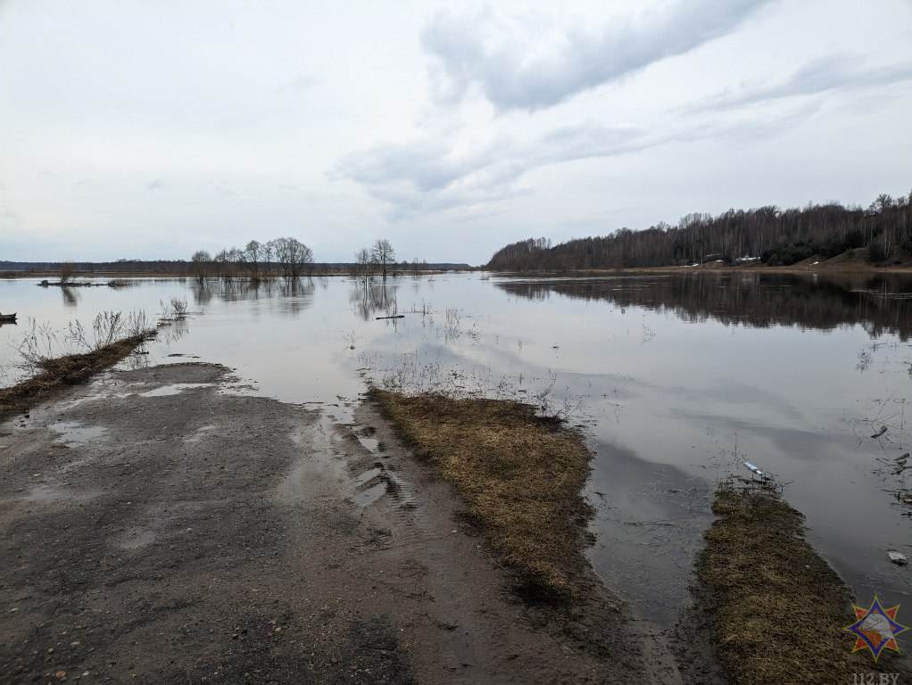 От паводка пострадали 8 районов Могилевской области