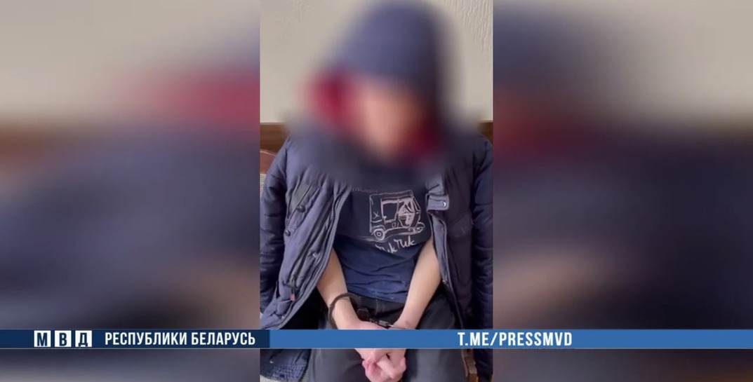 В Минске задержали студента-педофила. А вычислили преступника так: мать обратила внимание на смартфон, который он подарил 11-летней девочке