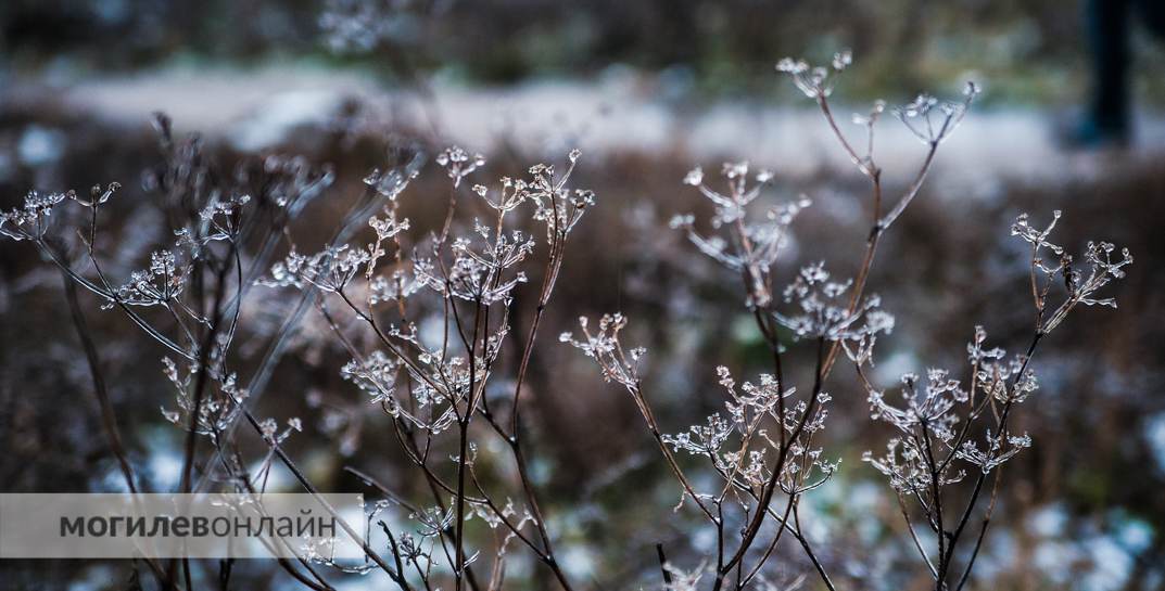 Похолодание до −4 и снег. Синоптики рассказали о погоде в Могилевской области в начале следующей недели
