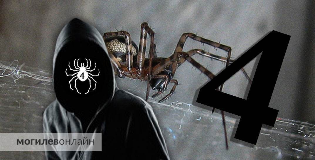 Родительские чаты в Беларуси обеспокоены субкультурой «Редан». «Пауки» добрались до Могилева?