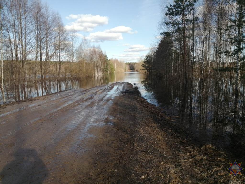 От паводка пострадали 8 районов Могилевской области