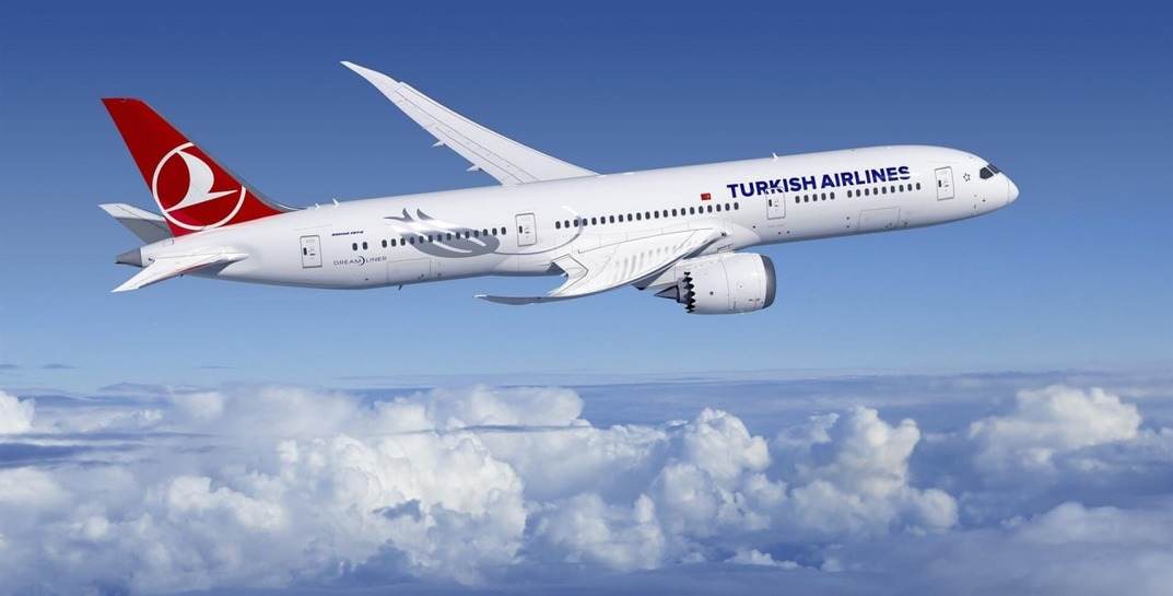 Самолет Turkish Airlines совершил экстренную посадку из-за запаха экзотического фрукта в грузовом отсеке