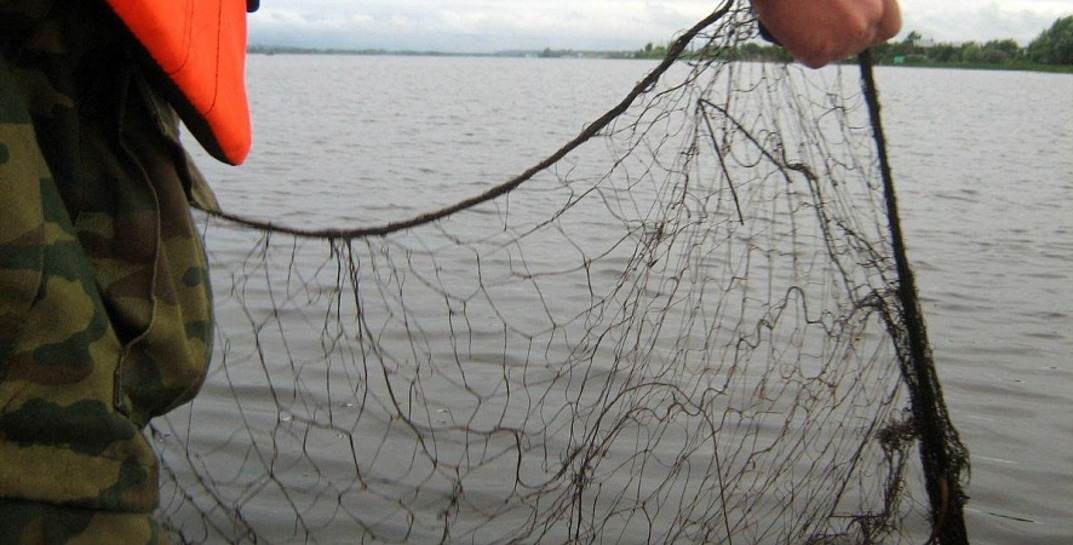 Житель Бобруйского района не удержался и достал из реки чужую сеть — ответит за незаконную добычу рыбы