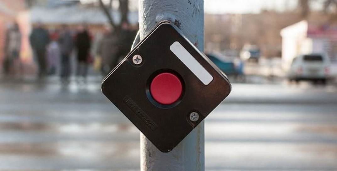 Бобруйчанина оштрафовали за переход дороги на «красный» — из-за обиды он разбил молотком кнопку светофора