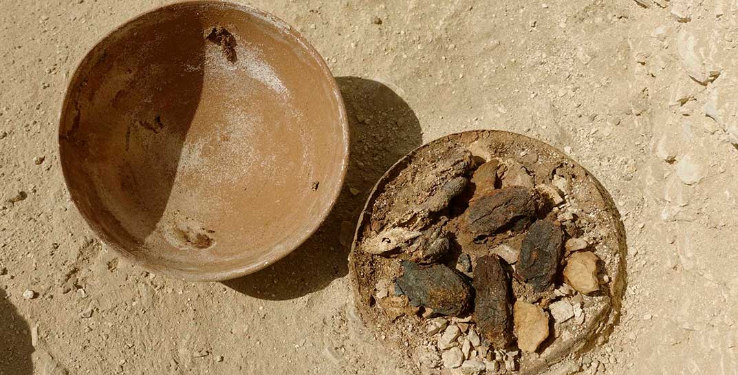 В Бобруйске Госконтроль провел археологические раскопки в магазине и обнаружил продукты с просрочкой… в 416 суток