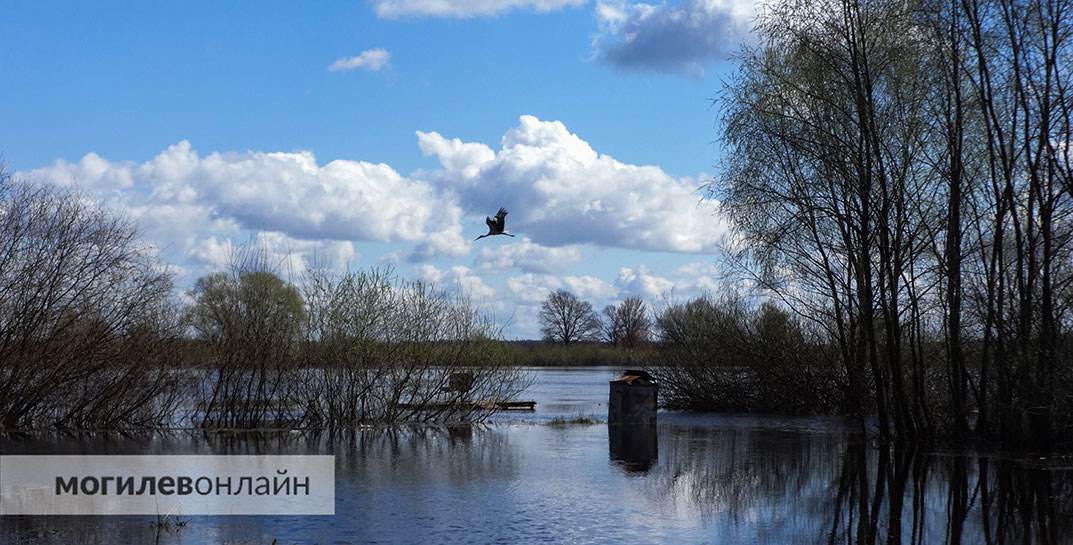 Вода унесла жизни 4 белорусов за сутки. Люди утонули в реке, мелиоративном канале, канализационном колодце…