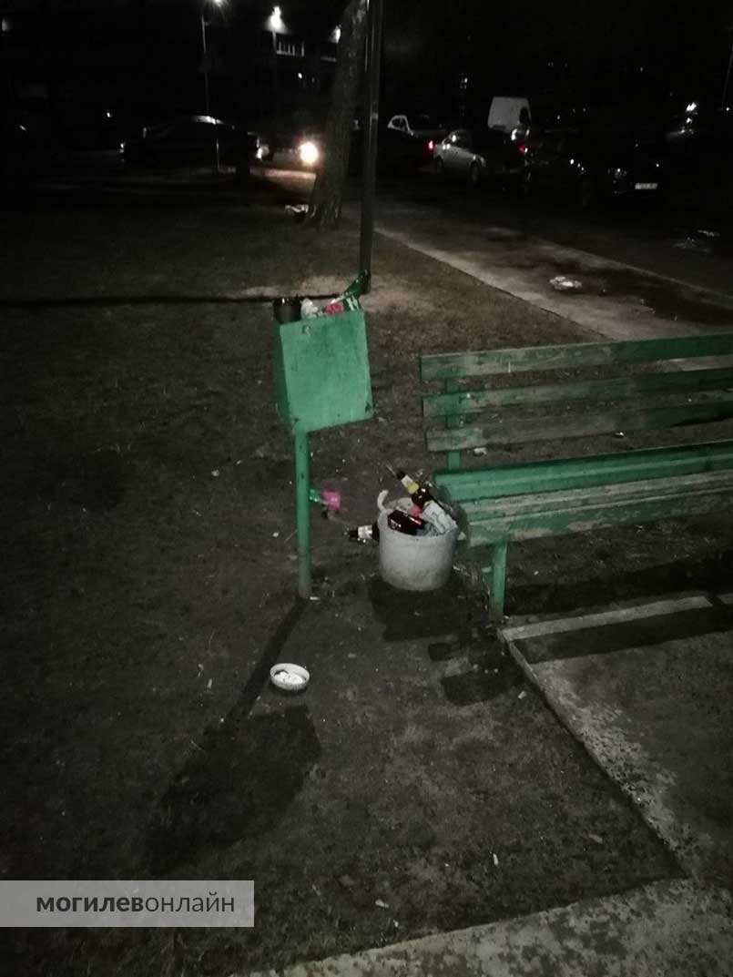 Переполненная мусорка в Могилеве по проспекту Димитрова