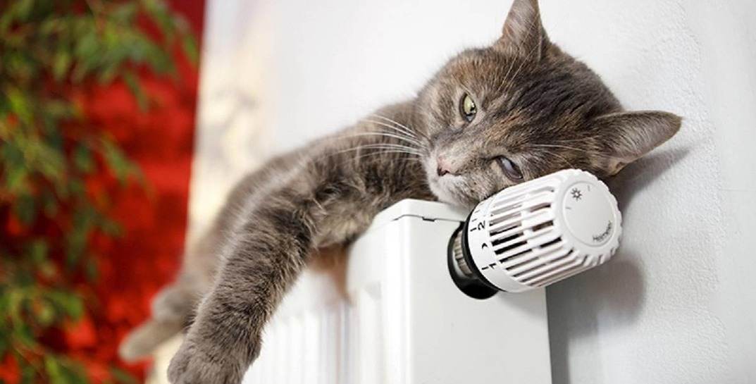 В Могилеве и области начали отключать отопление в квартирах и домах