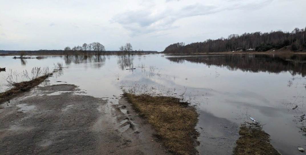 Из-за паводка в семи районах Могилевской области подтоплены мосты и дороги