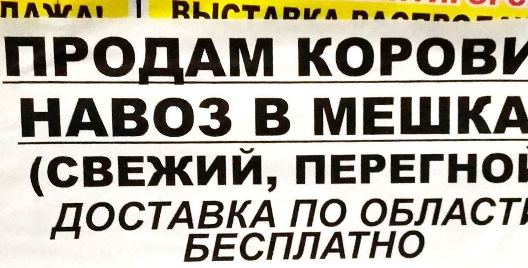 «Продаю навоз» — в Могилеве жителей продолжают штрафовать за расклейку объявлений в неположенных местах