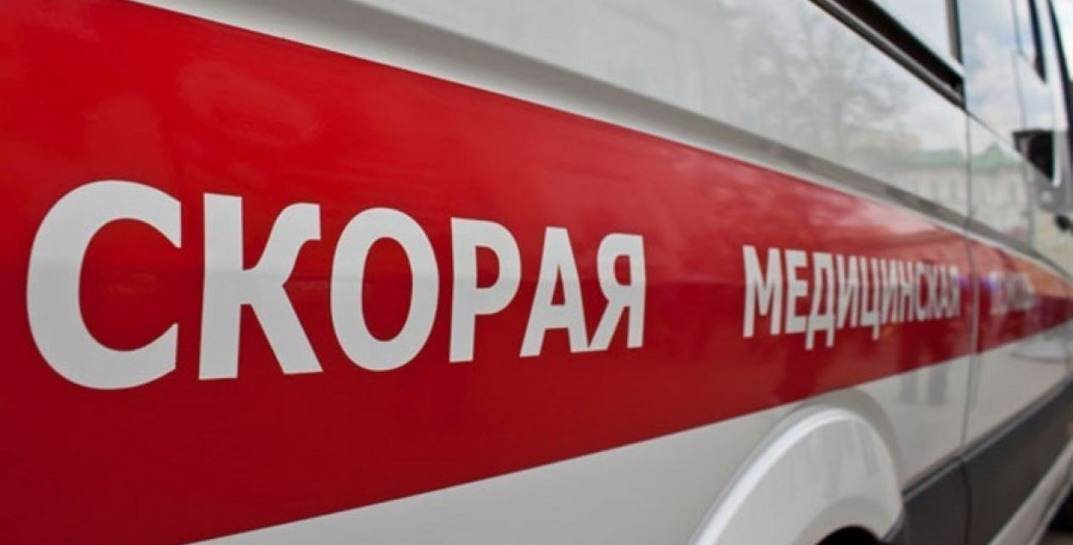 В Могилевском районе двухлетнего ребенка ударила копытом лошадь. Он в реанимации