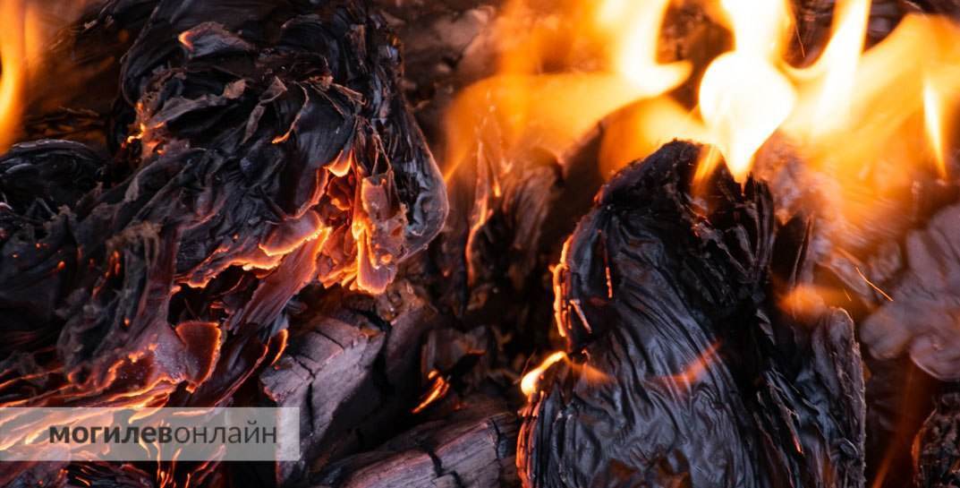В Шклове тушили пожар на производственном предприятии