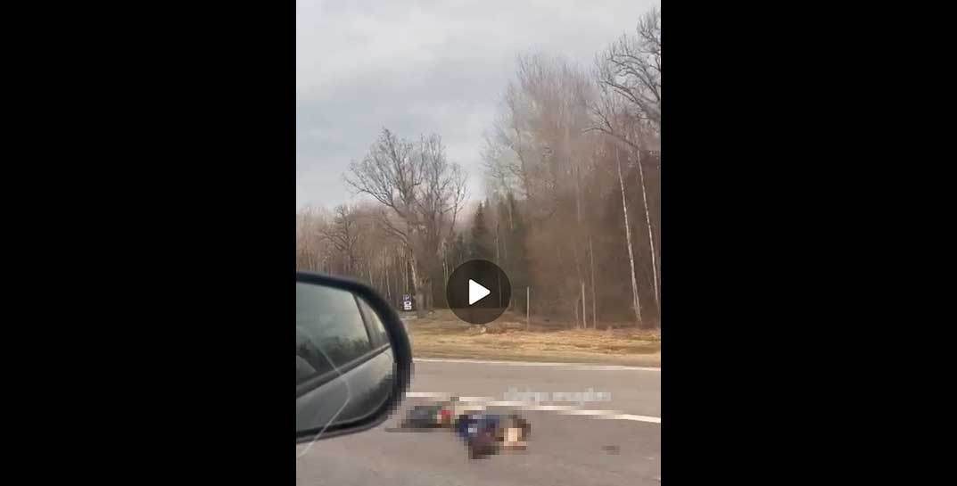 На трассе Могилев-Минск насмерть сбили мотоциклиста
