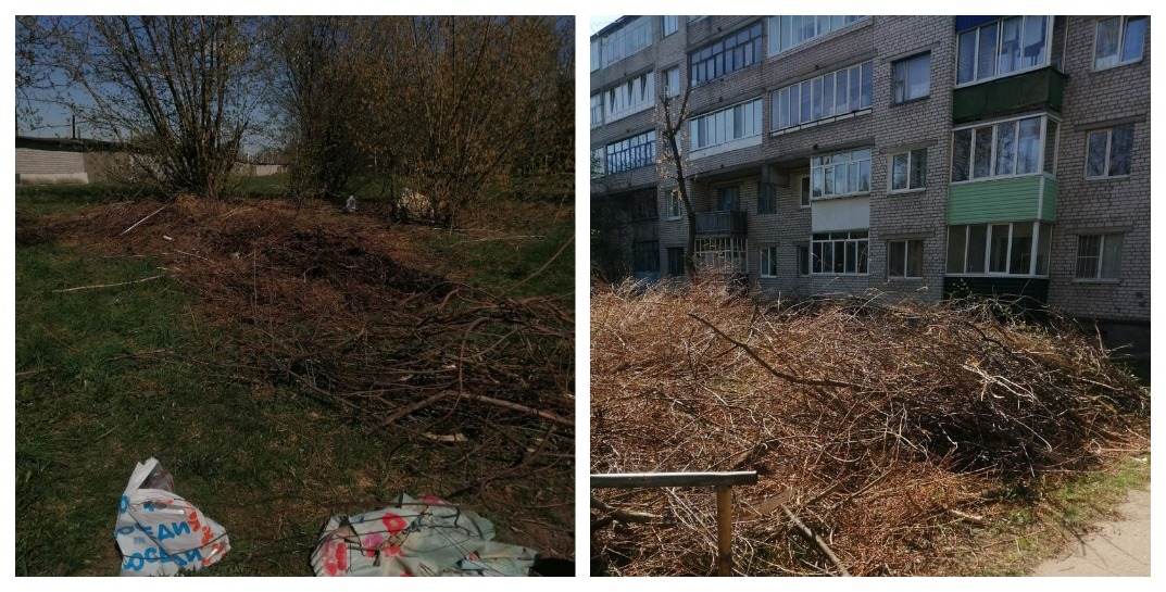На Строителей с февраля не убирают ветки, обрезанные во время кронирования