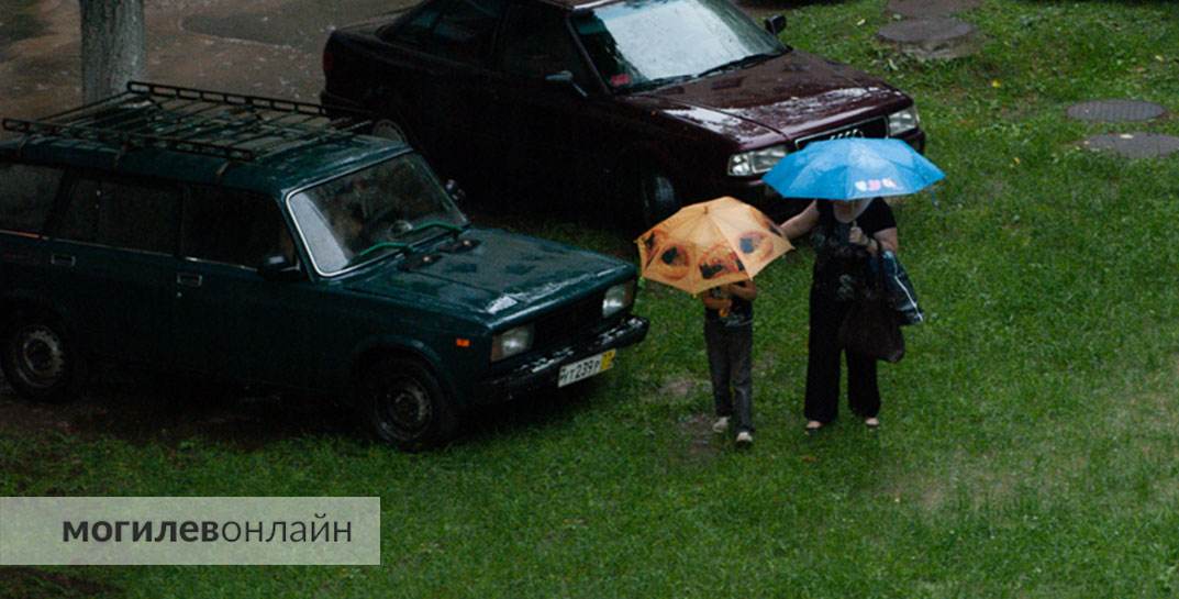 В Могилевской области небольшие дожди с грозами, но тепло до среды. А во второй половине следующей недели похолодает