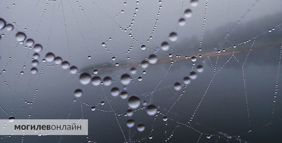 Облачно и прохладно: пасхальные выходные в Могилеве буду пасмурными