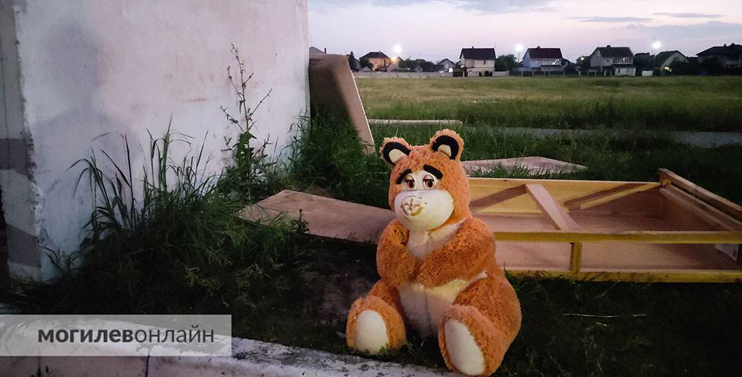 Житель Минской области растлил племянницу, когда ей было 4,5 года — ему грозит до 15 лет тюрьмы