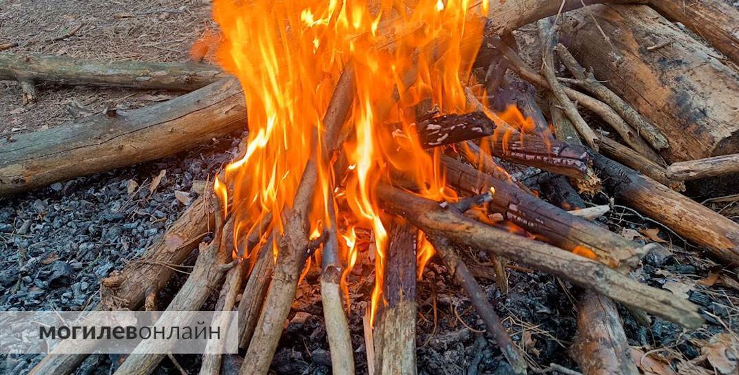 В Костюковичском районе горели 15 гектаров леса