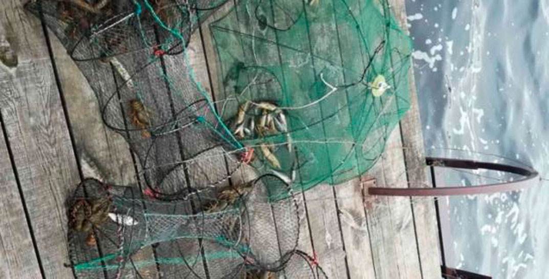 На Чигиринском водохранилище задержали браконьера — ущерб от его «рыбалки» оценили в 18,9 тысячи рублей