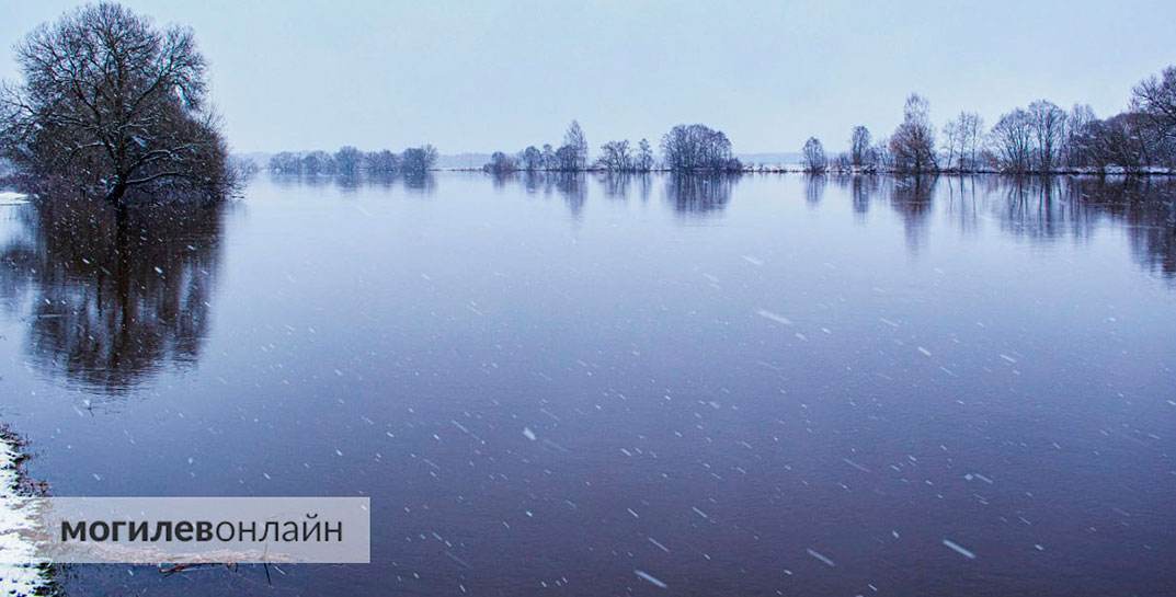 Разлив рек на Могилевщине не перестает удивлять — посмотрите на море в Дашковке