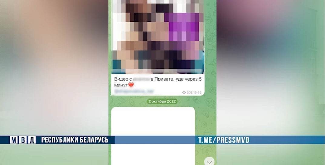 Житель Горок создал телеграм-канал с порно и брал деньги за подписку — парня задержали