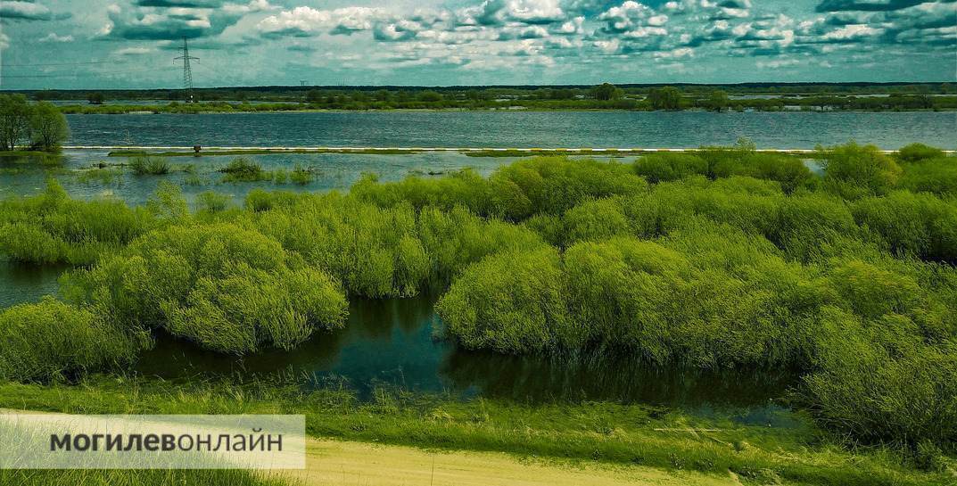 Ученые рассказали, когда погода в Беларуси станет, как в Турции