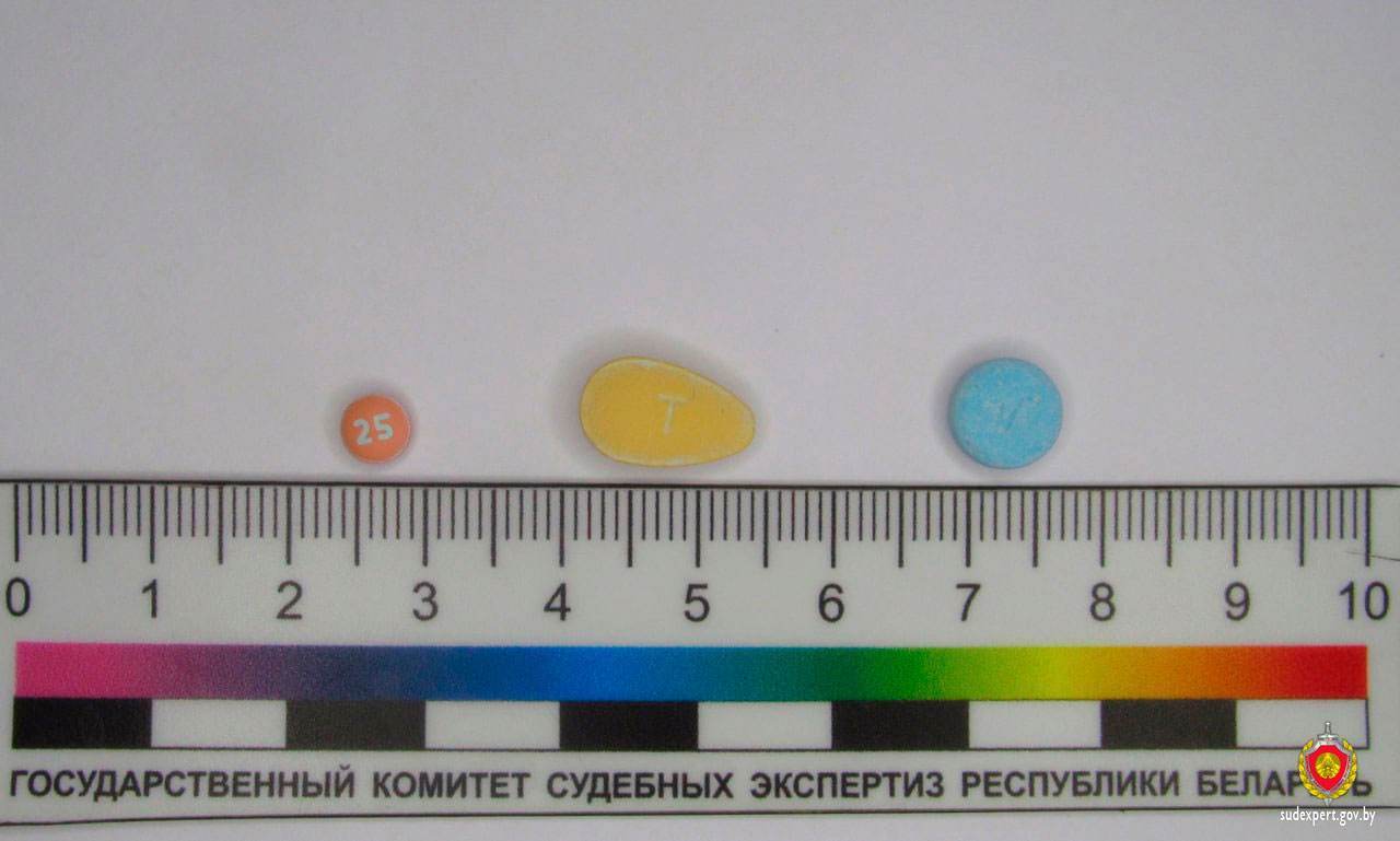 В Могилевский области задержали россиянина, который перевозил таблетки с психотропом в брелоке