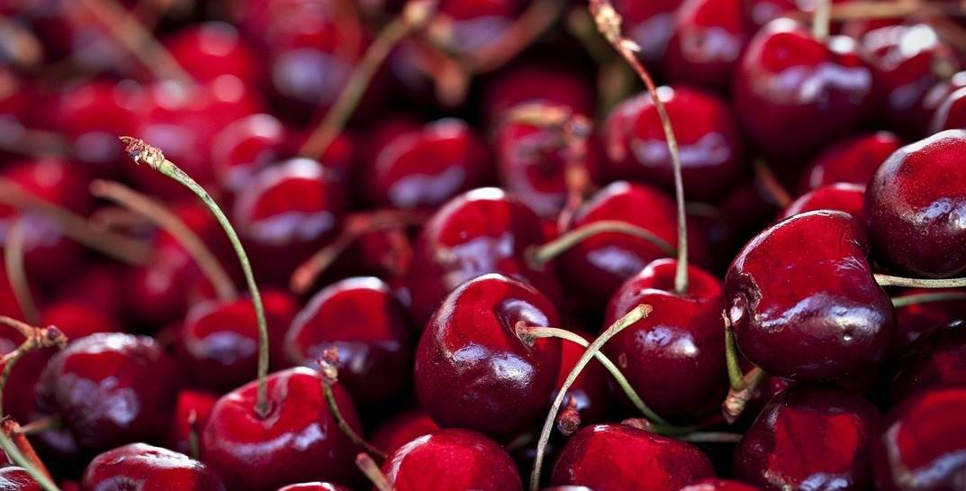 В Могилеве продают черешню по заоблачной цене