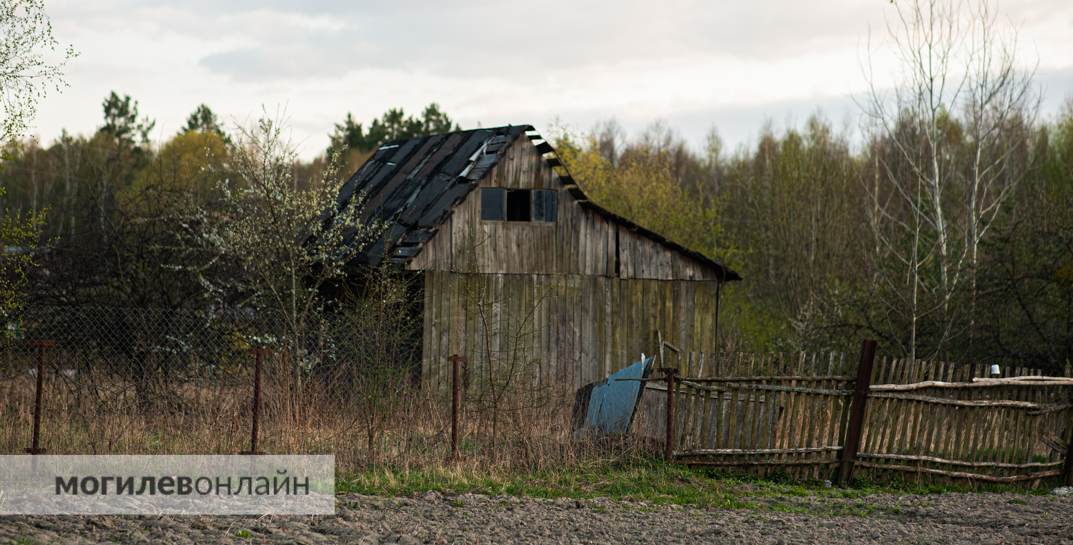 Стало известно, сколько в Беларуси пустующих домов