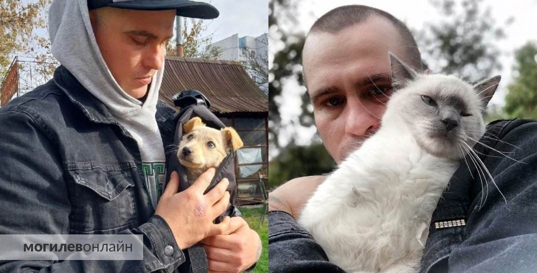 Цифра спасенных перевалила за несколько сотен. Известный ветеринар из Бобруйска — о том, почему бесплатно лечит бездомных животных и зачем снимает ролики об этом в TikTok