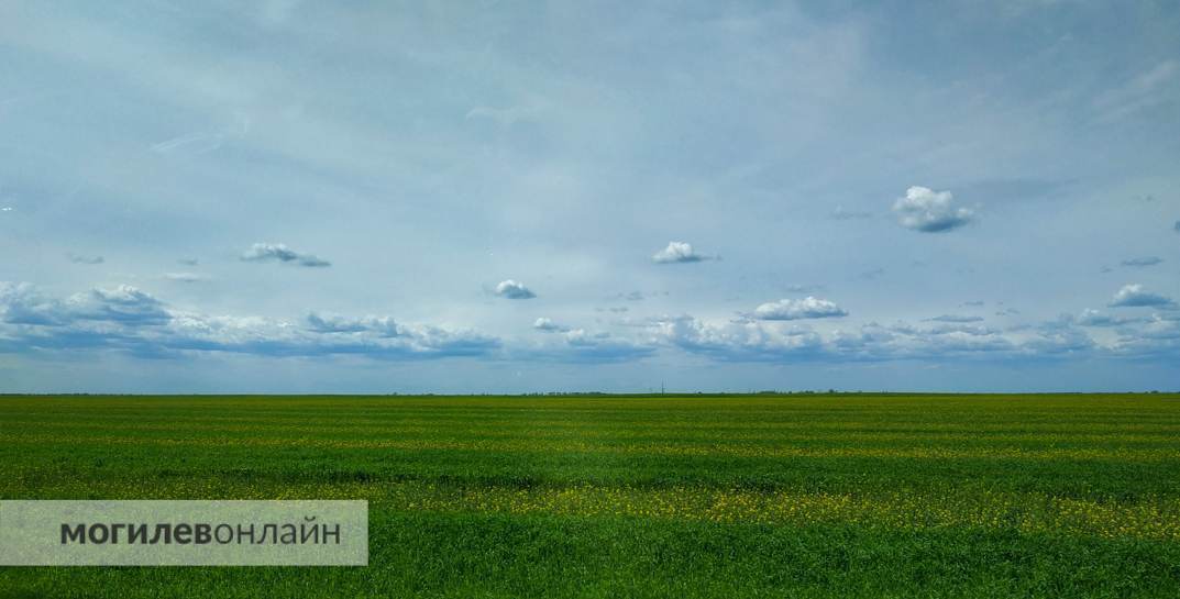 Почти лето 🌤 Прогноз погоды на вторник, 16 мая