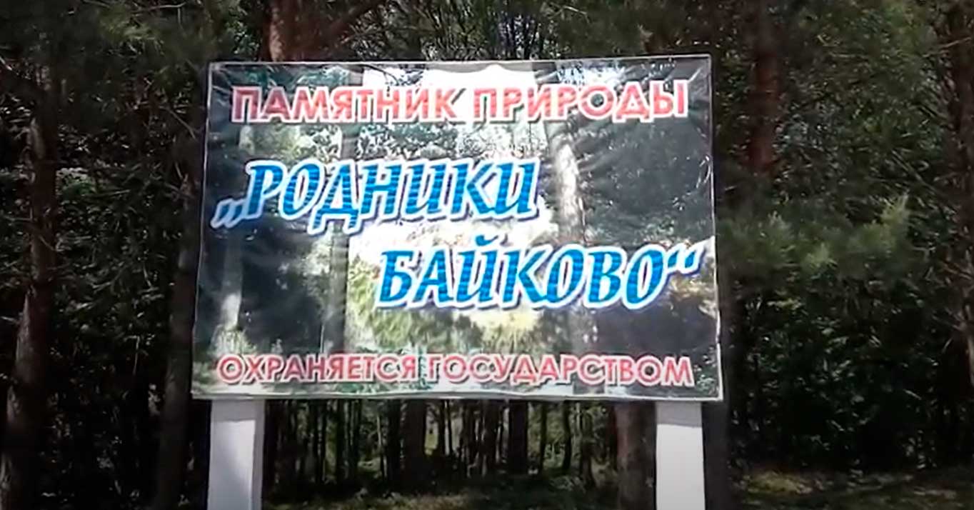 Паводок разрушил уникальный подвесной мост в деревне Петуховка под Чаусами