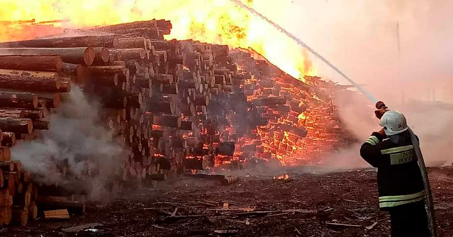 Сотни кубометров леса сгорели в Кричеве