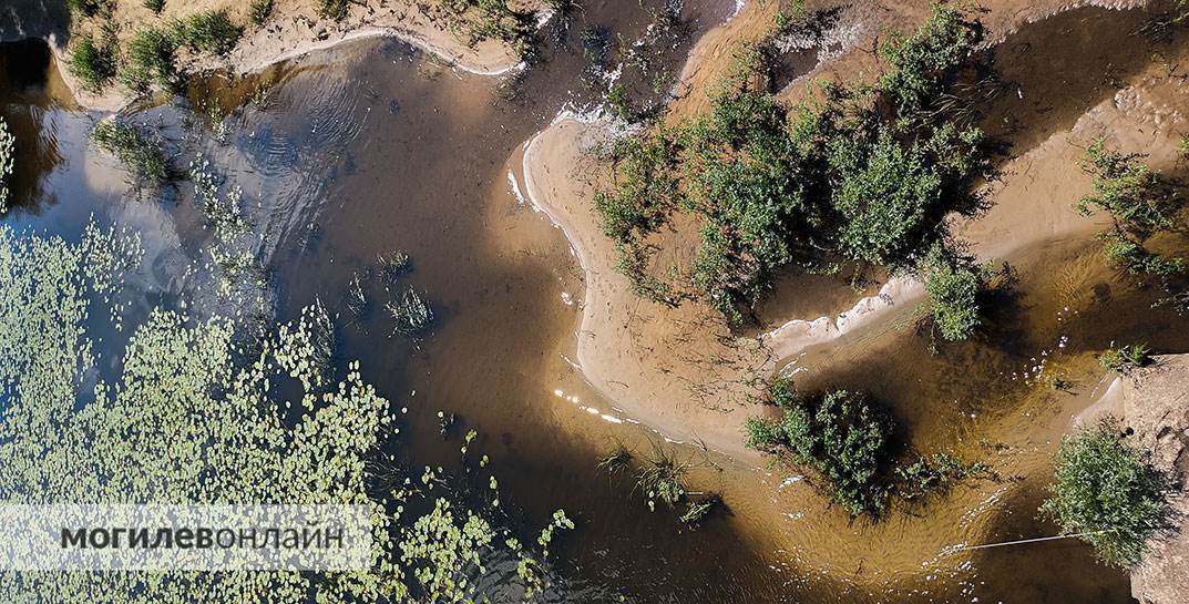 Уровень воды на Соже у Кричева и Славгорода опустится до опасно низкой отметки