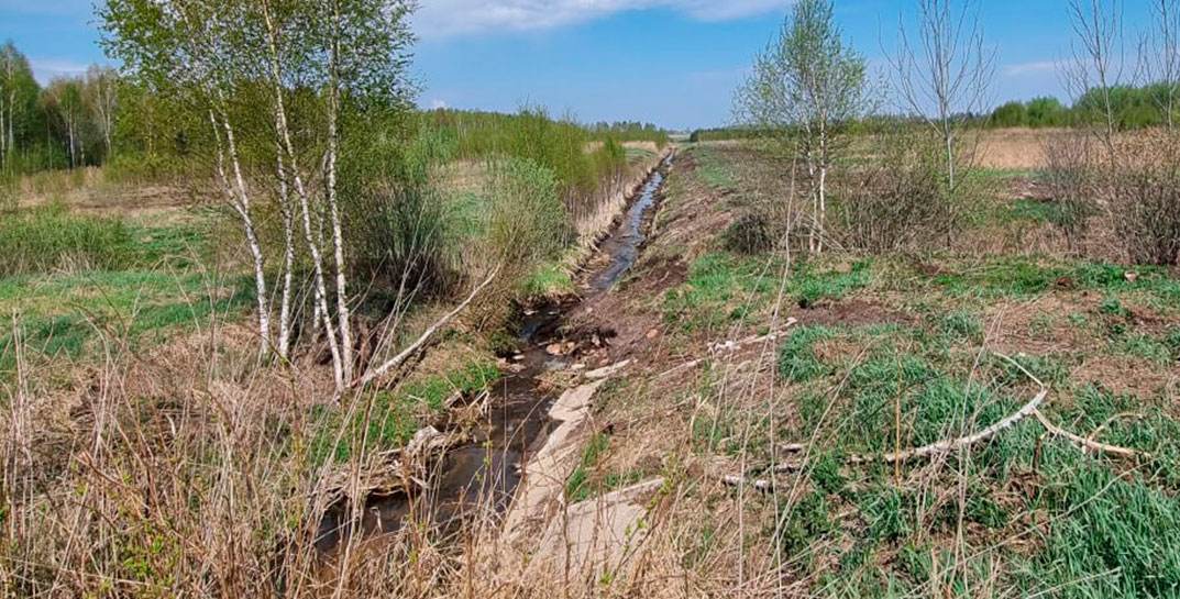 В Быхове организация не выполнила мелиоративные работы на сумму свыше 267 тысяч рублей — но отчиталась за эти деньги, как будто работы выполнены