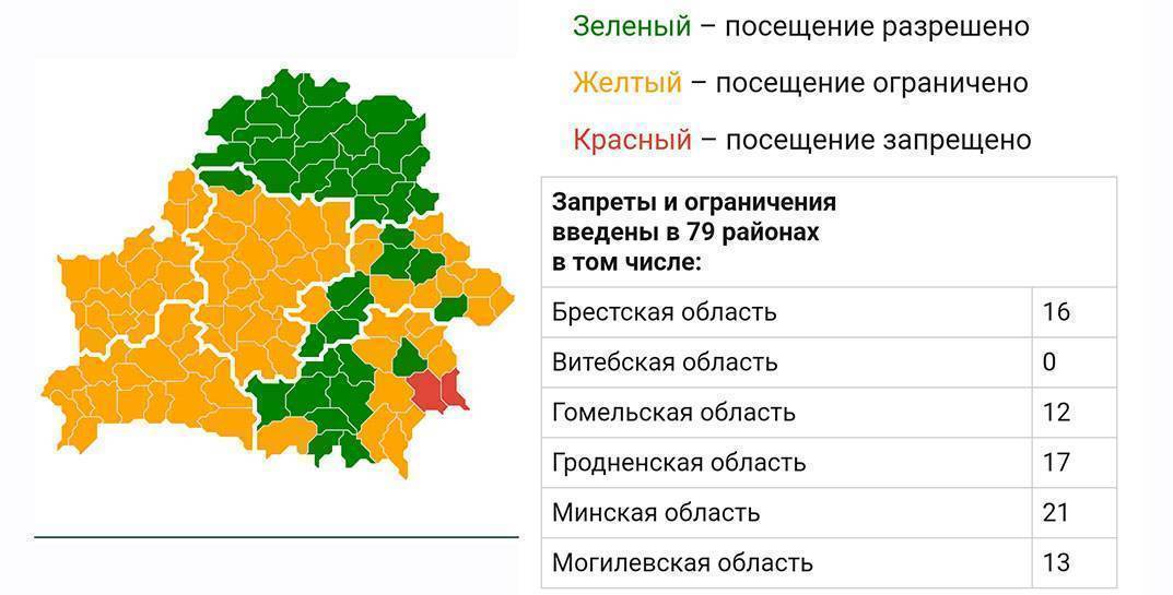В 13 районах Могилевской области введены ограничения на посещение лесов