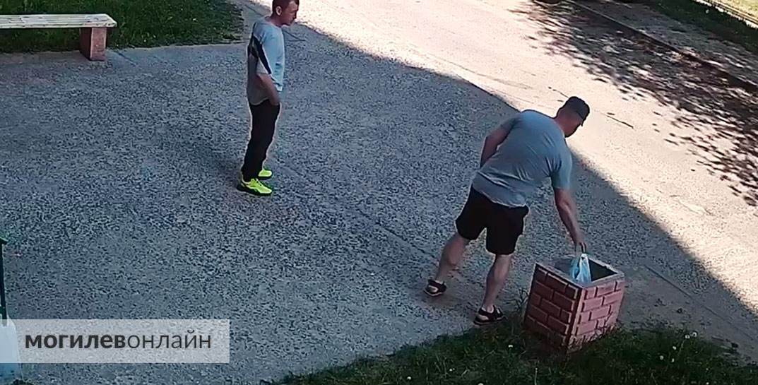 Мусорка у одного из домов в Могилеве пользуется бешеной популярностью — и у жителей подъезда, и у ворон