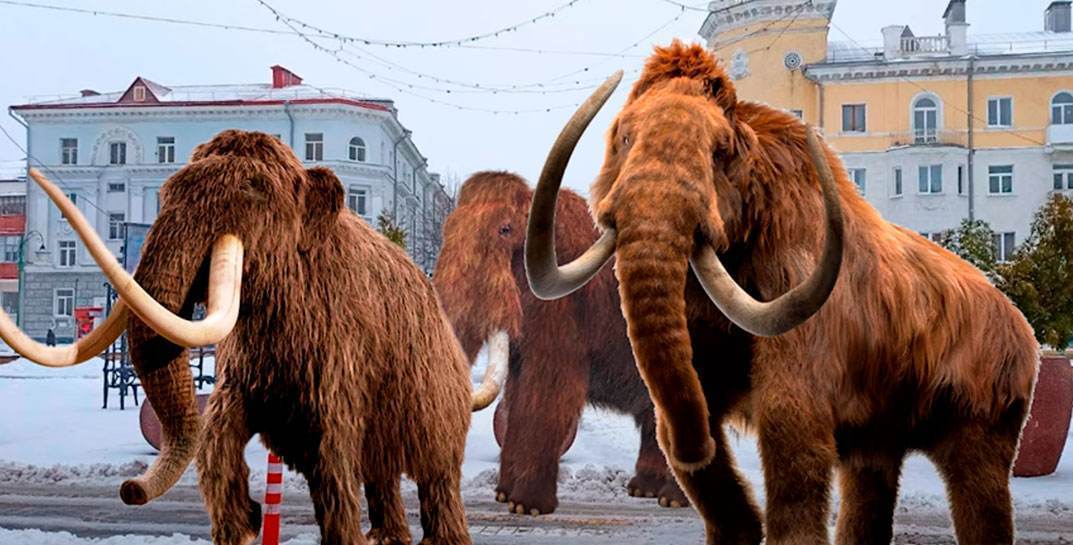 Кто такой Могила, чем отличается селище от городища — мы нашли интересное видео про историю Могилева для любителей узнать больше про родной город