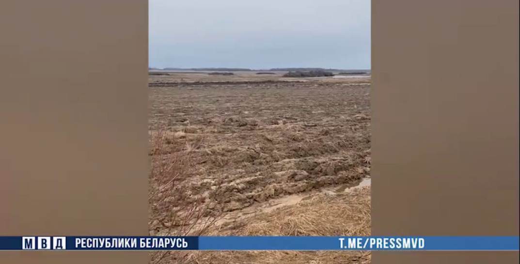 На Могилевщине вскрылась «липовая» мелиорация — ущерб бюджету составил 430 тысяч рублей, заведено 8 уголовных дел