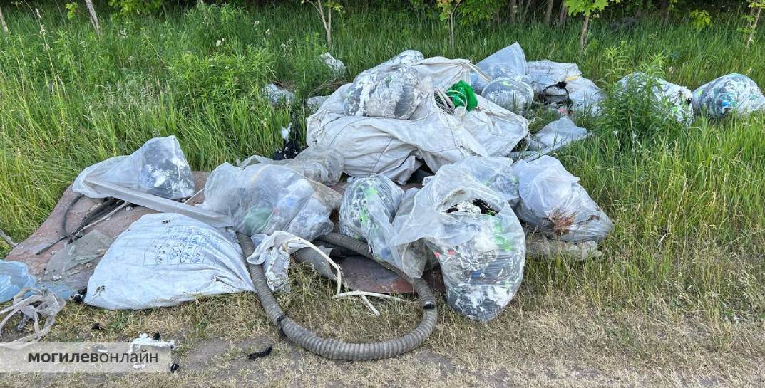 Возле леса под Могилевом кто-то устроил стихийную свалку мусора