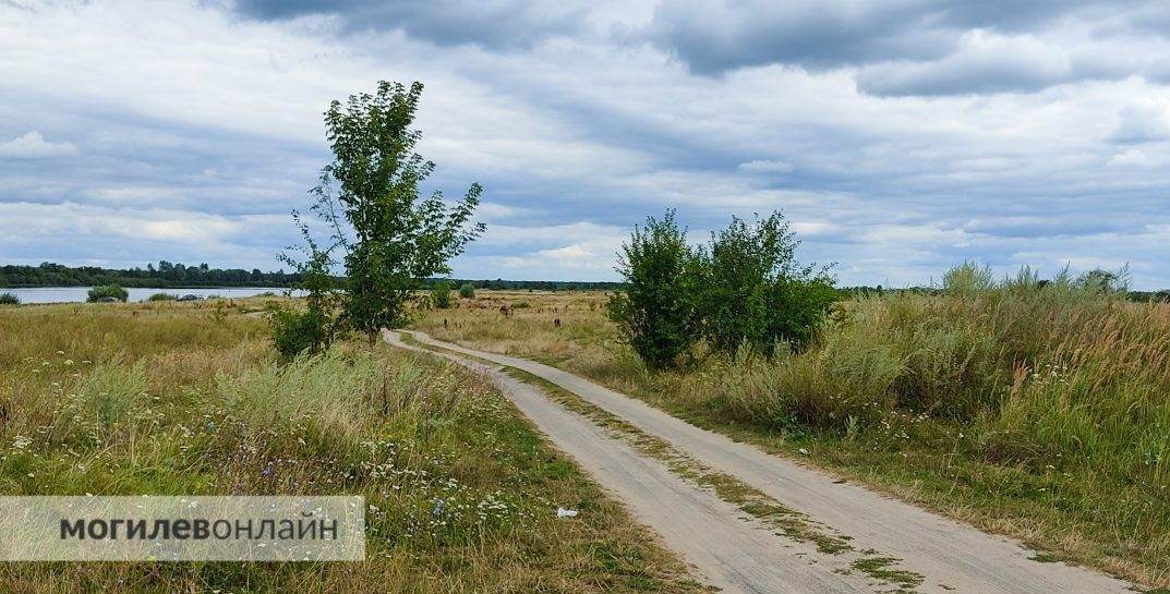 Пасмурно и прохладно. Погода в Могилеве на выходные