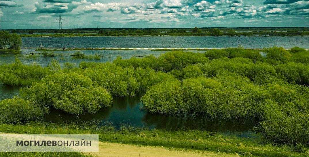 Начнет теплеть, но очень медленно. Погода в Могилеве на вторник, 13 июня