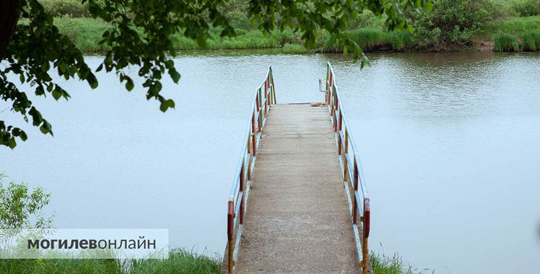 В Витебском районе нетрезвый парень решил искупаться и подшутить над друзьями, что тонет. Закончилось тем, что он и в самом деле утонул