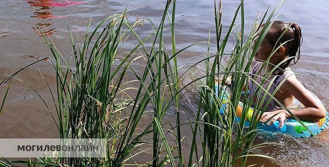 Купание под запретом из-за кишечной палочки в некоторых водоемах Могилева