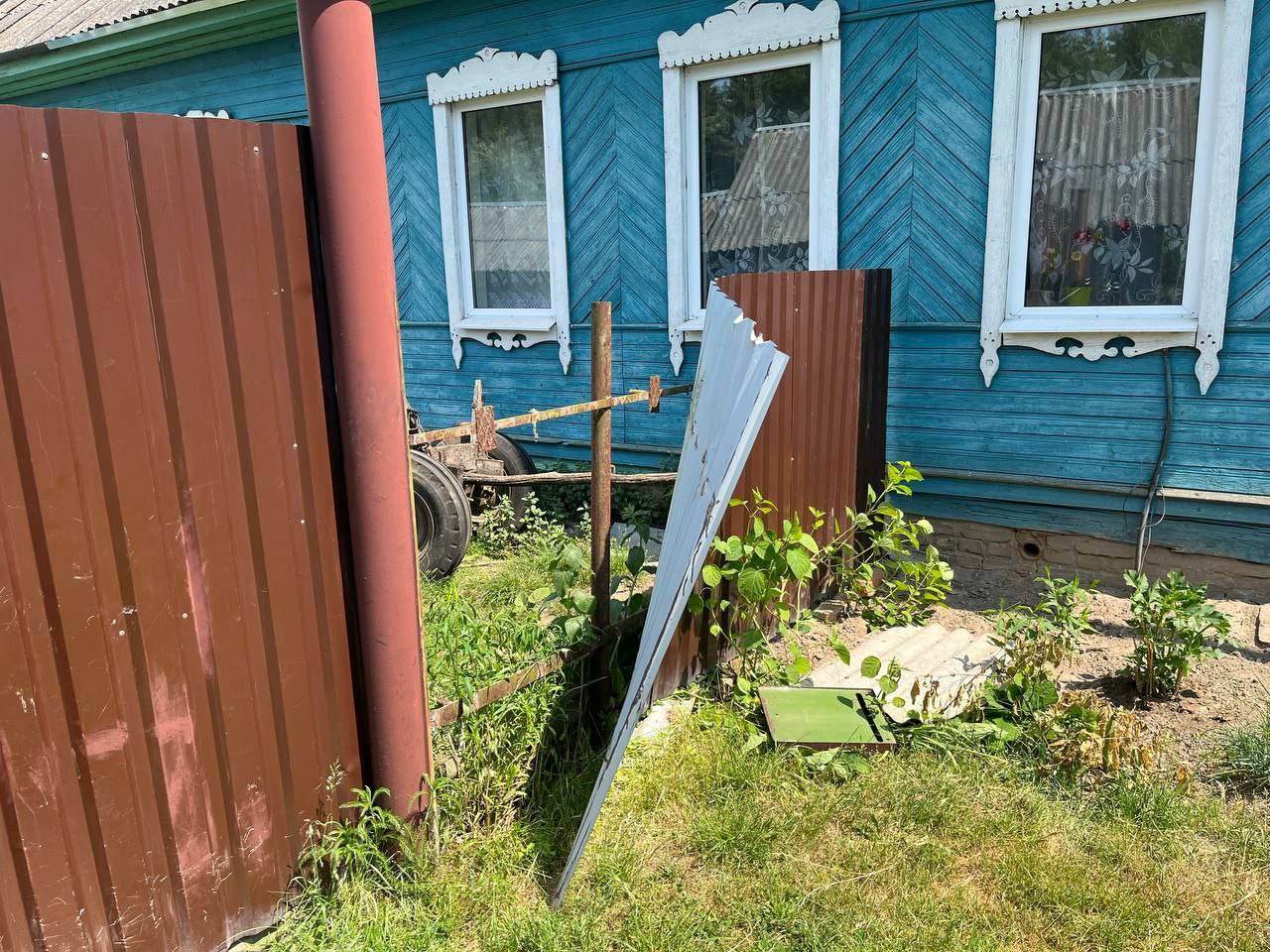 В Кировском районе лось напал в деревне на семейную пару пенсионеров